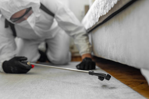 Professional Fumigation Services technician working in Champaign County County, IL